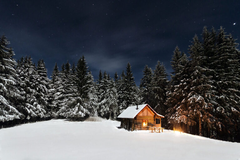 Cabin in the woods